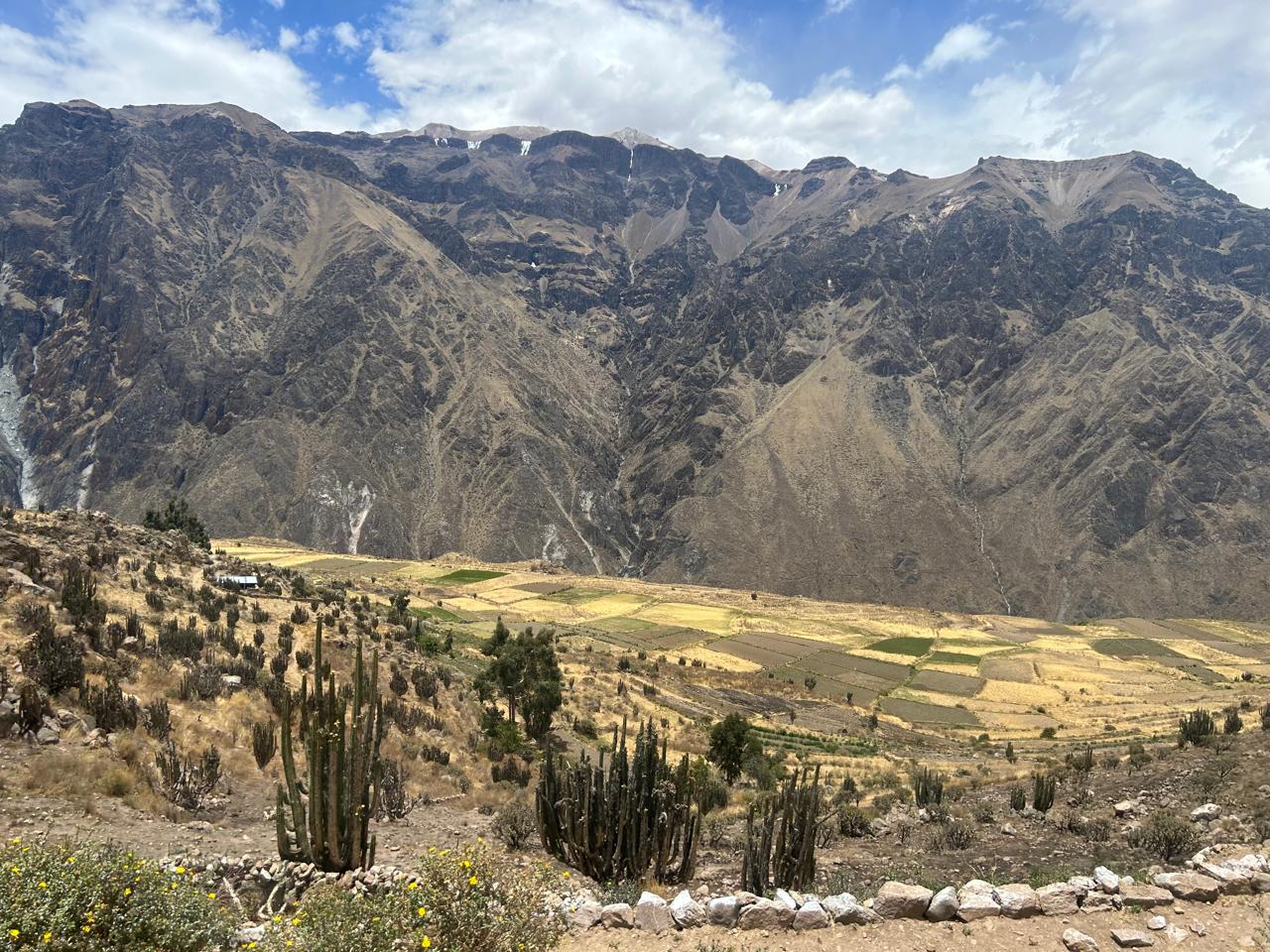 ENCUENTRO DE UNIDAD MUNDIAL - PERÚ 2025 (Arequipa / Valle del Colca)